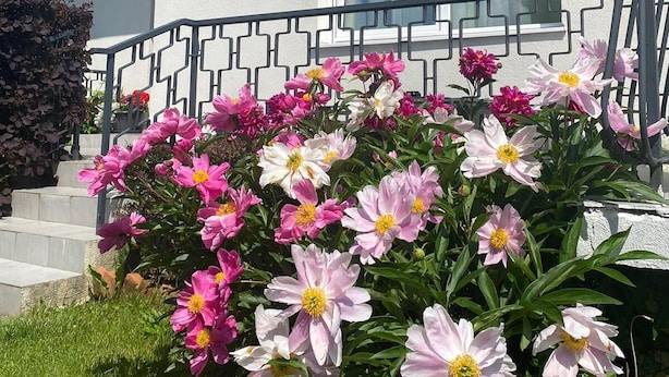 Front of property - Enjoyit Rooms (Velden am Worther See)
