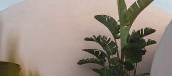 Nausicaa Guesthouse in Marsala Igloo in an oasis among the sea, olive trees and vineyards - 1