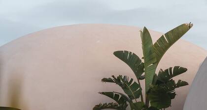 Nausicaa Guesthouse in Marsala Igloo in an oasis among the sea, olive trees and vineyards - 1