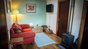 TV, fireplace, books