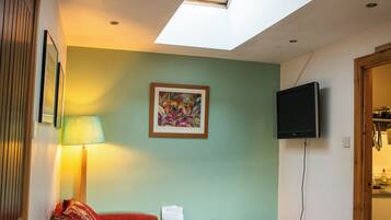 TV, fireplace, books