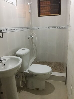 Shower, towels, toilet paper - Cozy apartment in Adabraka with AC, WiFi (Adabraka)