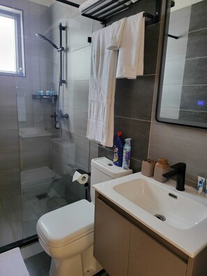 A modern bathroom with a glass-enclosed shower, a toilet, a sink, and a mirror. - leo residence (Nairobi)