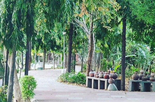 Property grounds - The Little Experience, Jaipur (Jaipur)