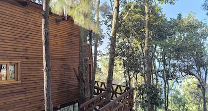 Cabin in San Jose del Pacifico Forest 5