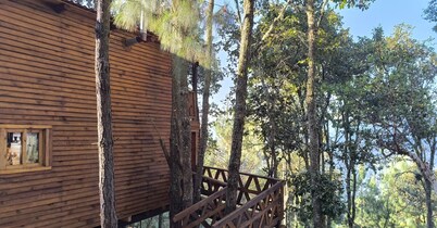 Cabin in San Jose del Pacifico Forest 5