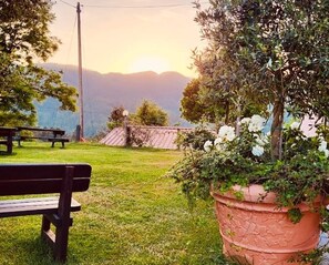 A grassy area with a bench and a large planter with flowers. - Da Gambin B&B (Podenzana)
