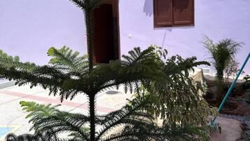 DĂ©tail de lâextĂ©rieur