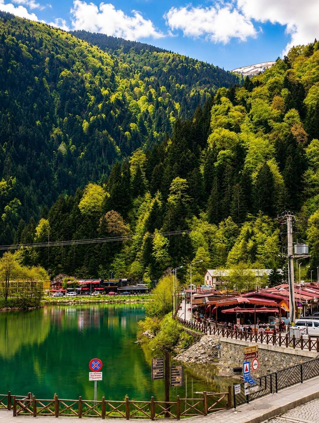 Lake view