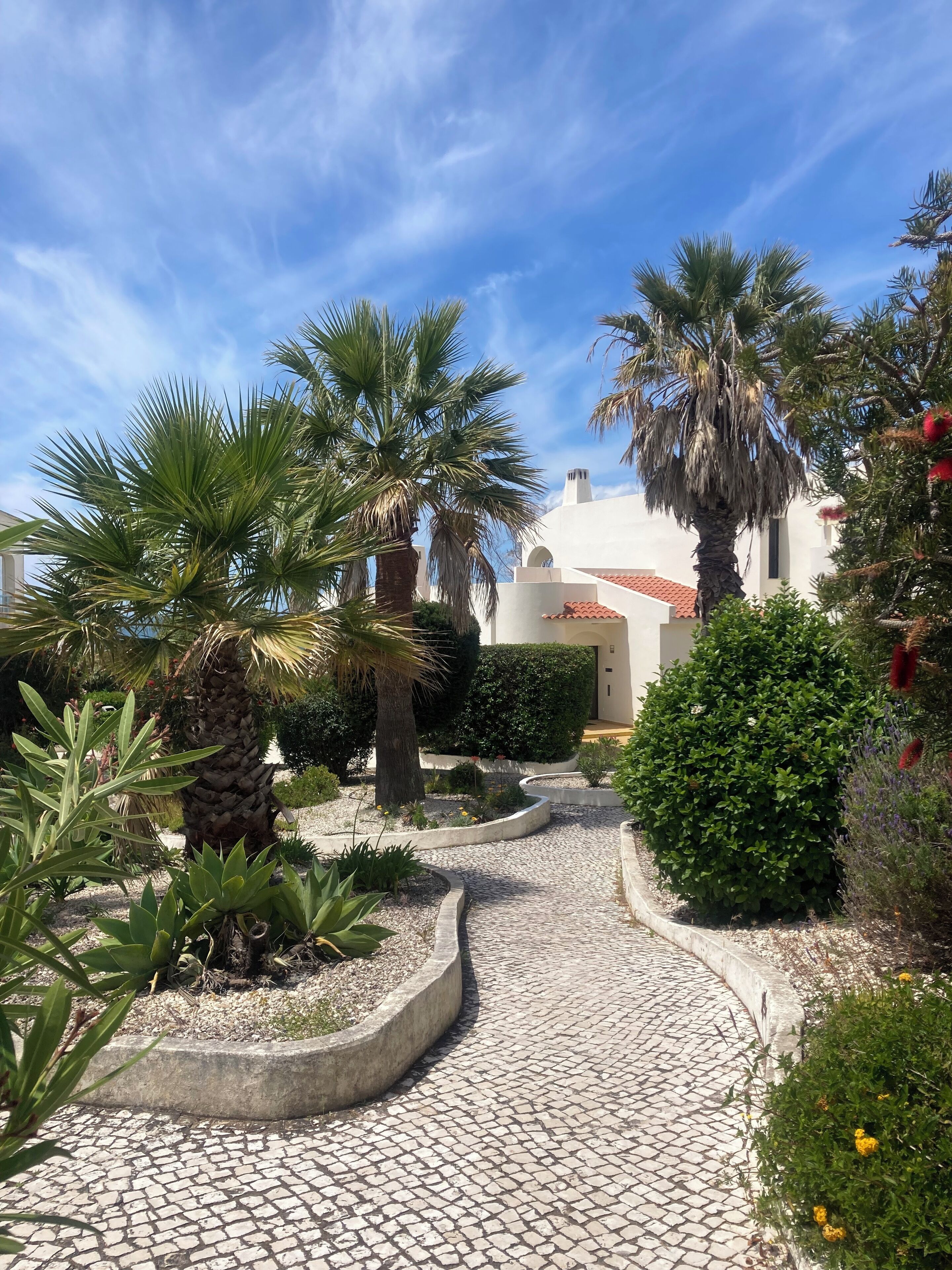 A cobblestone pathway leading through a garden with palm trees and various shrubs.