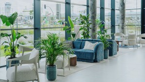 Un área de descanso moderna con un sofá azul, sillas blancas y plantas en macetas.
