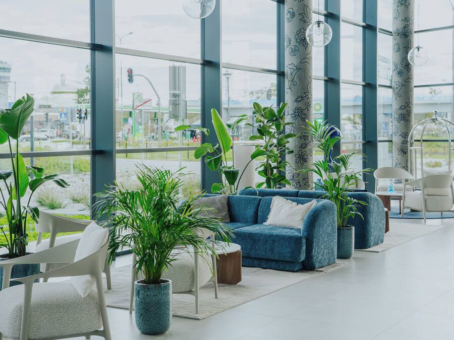 Un área de descanso moderna con un sofá azul, sillas blancas y plantas en macetas.