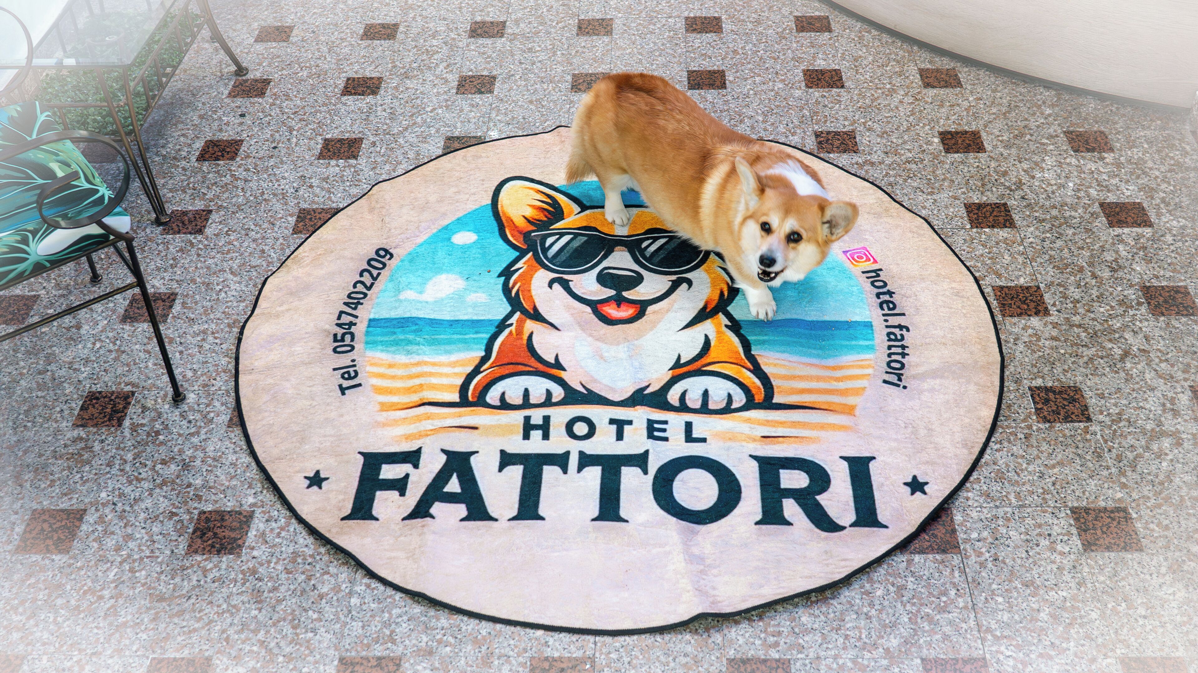 A circular mat with a dog illustration and the text "HOTEL FATTORI".