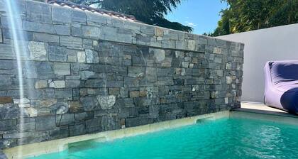 Villa Serguier with swimming pool in Avignon