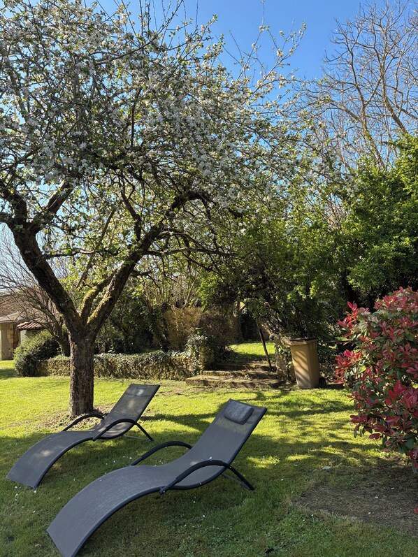 Property grounds - Bourgeois house with large wooded park. (Cercoux)