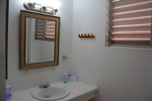 Regadera, secadora de cabello, toallas, jabón 
