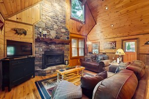 TV, fireplace, books