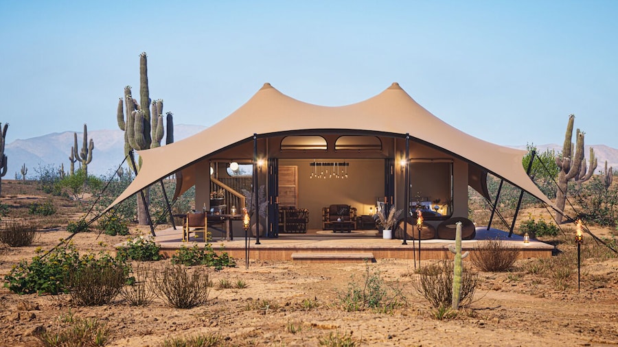 SaguaroGlamp