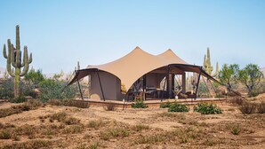 A desert tent with a flat roof and a single entrance, surrounded by cacti and sparse vegetation. - SaguaroGlamp (Marana)