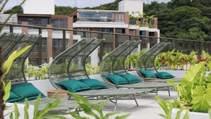 Un área de descanso en la azotea con sillones reclinables y cojines verdes, rodeada de plantas exuberantes y edificios modernos.