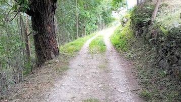 Varie