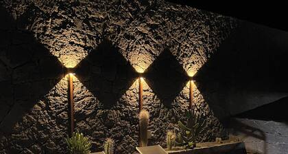 Sport and culture nest