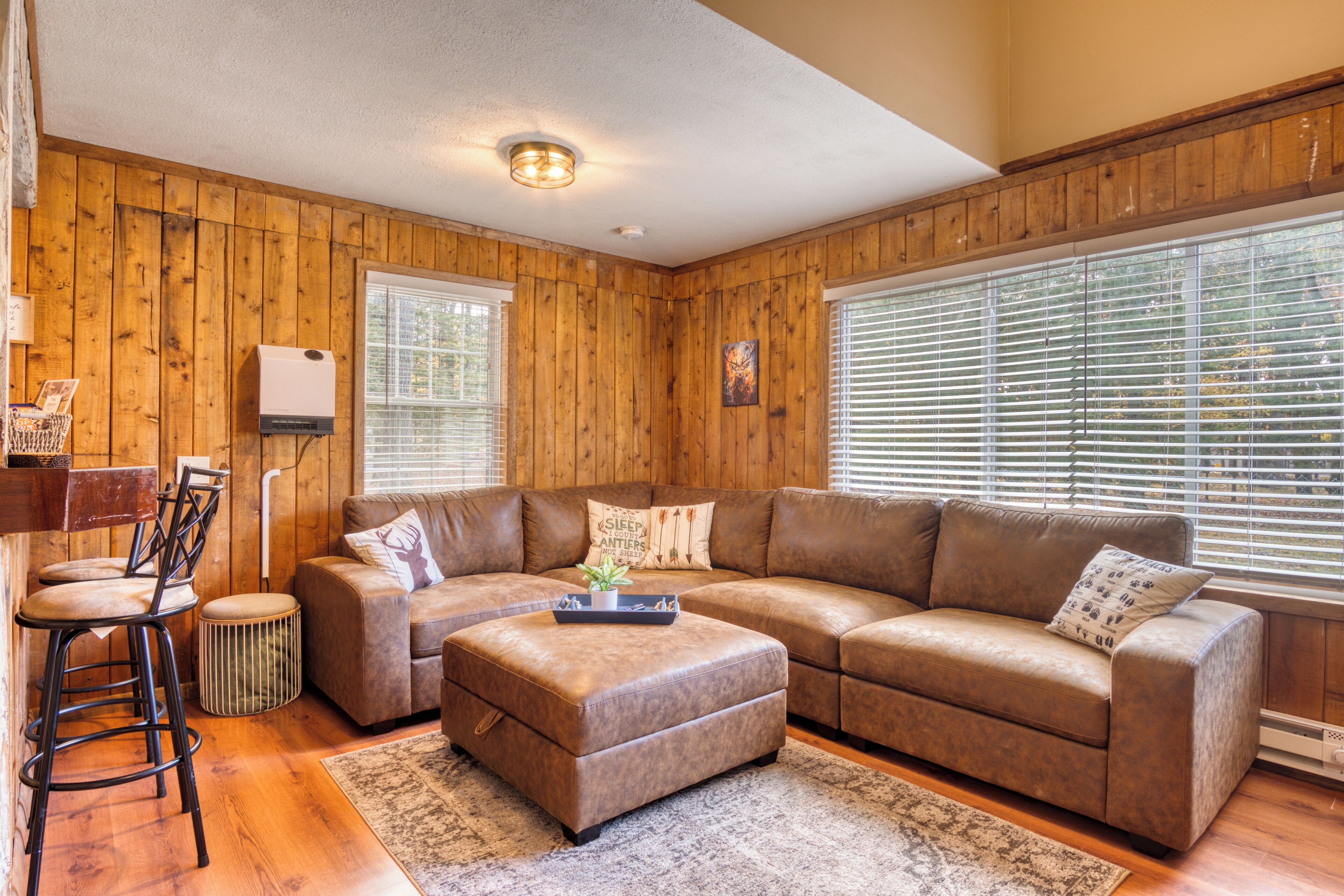 Smart TV, video games, video library