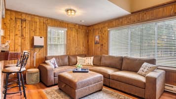 Smart TV, video games, video library