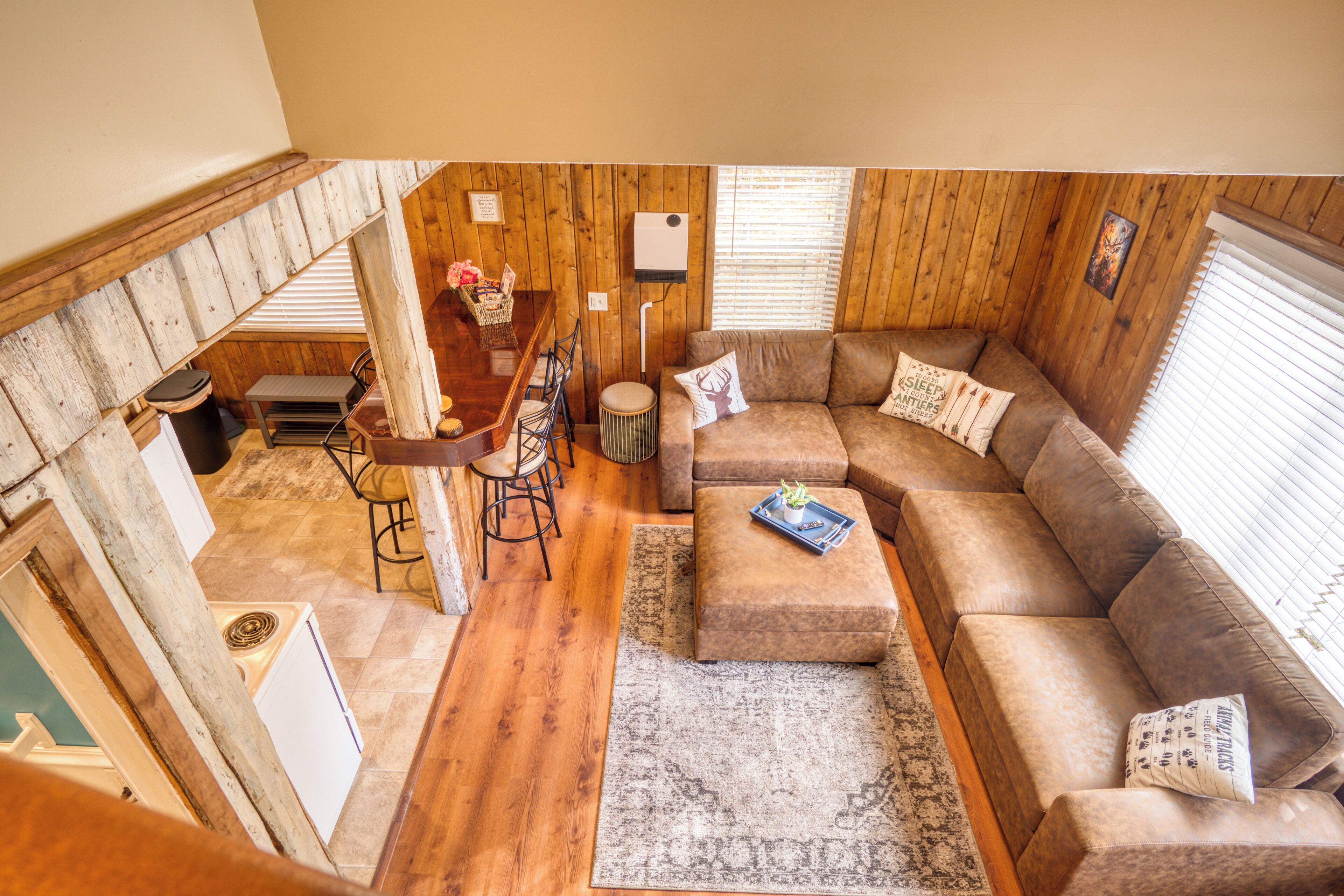 智能電視、電子遊戲、影像庫