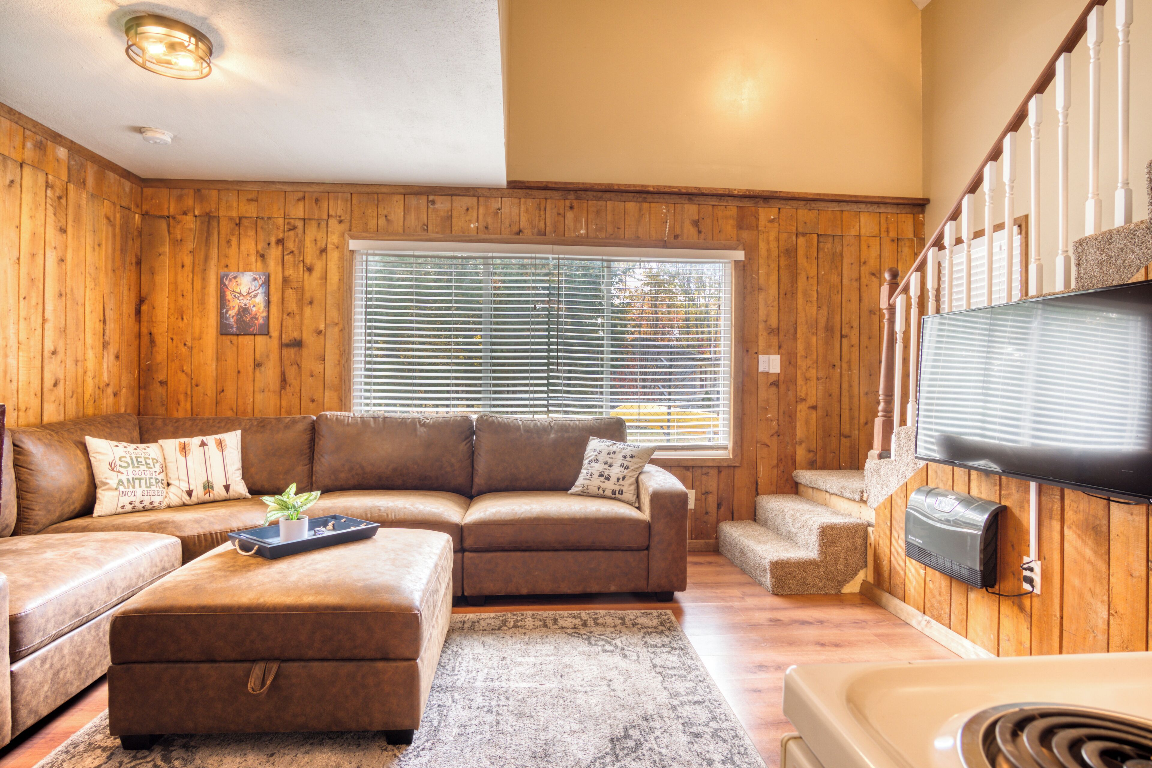 Smart TV, video games, video library