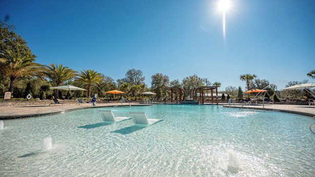A clear blue pool with lounge chairs and umbrellas, surrounded by palm trees and a pergola. - Black Prong Resort (Bronson)