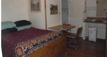 Room #6 Apt