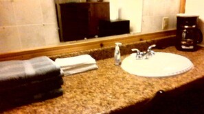 Hair dryer, soap, shampoo, toilet paper