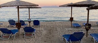 Apollon ex. Albatros