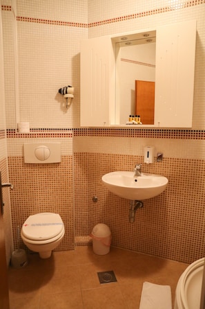 Shower, hair dryer, towels, toilet paper