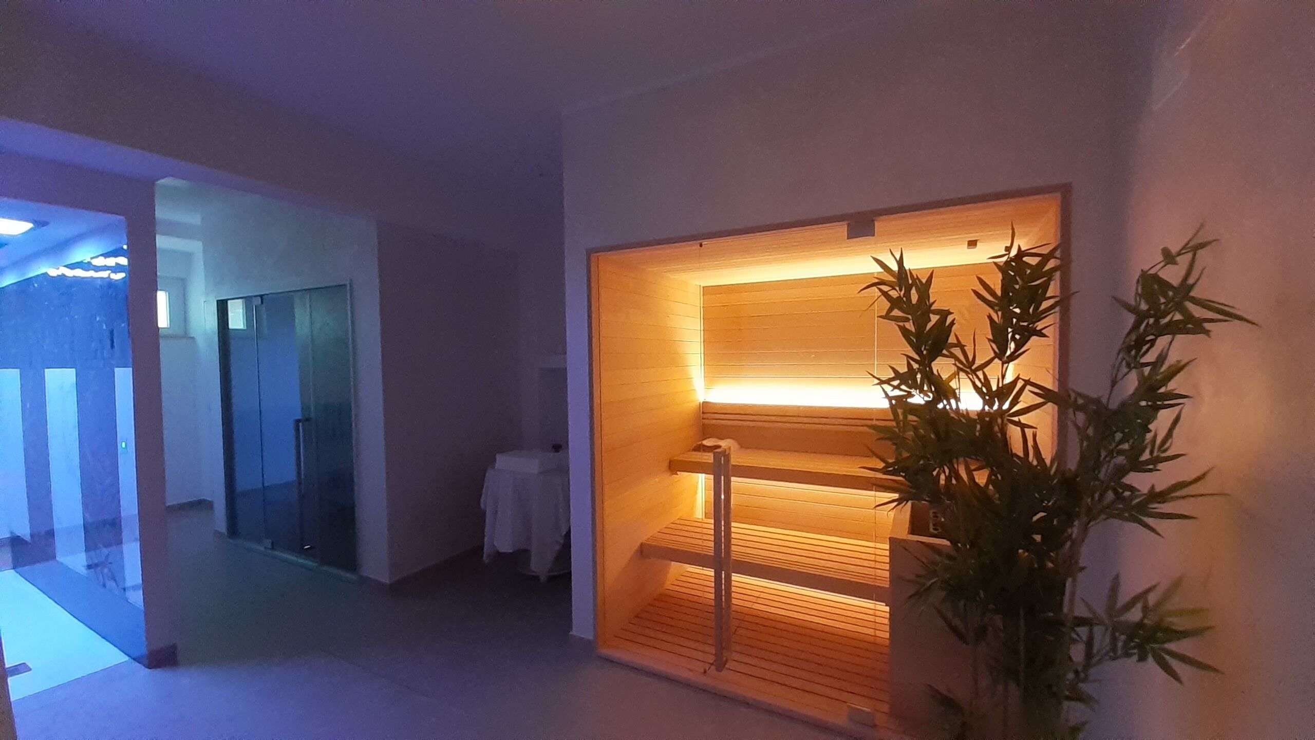 Ein Zimmer mit einer hölzernen Bank, einem Blumentopf und einer Glastür zu einem weiteren Raum.