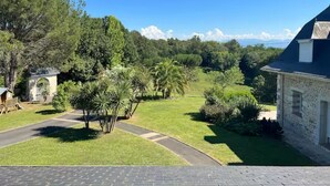 A residential property with a paved driveway, a lawn, and a view of a forested area.