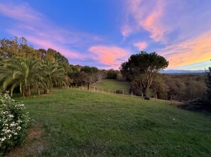 Property grounds - Villa in the heart of nature (Arbus)