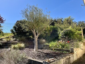 Property grounds - Villa des Chênes by Agence Bru - 532861 (Carcans)