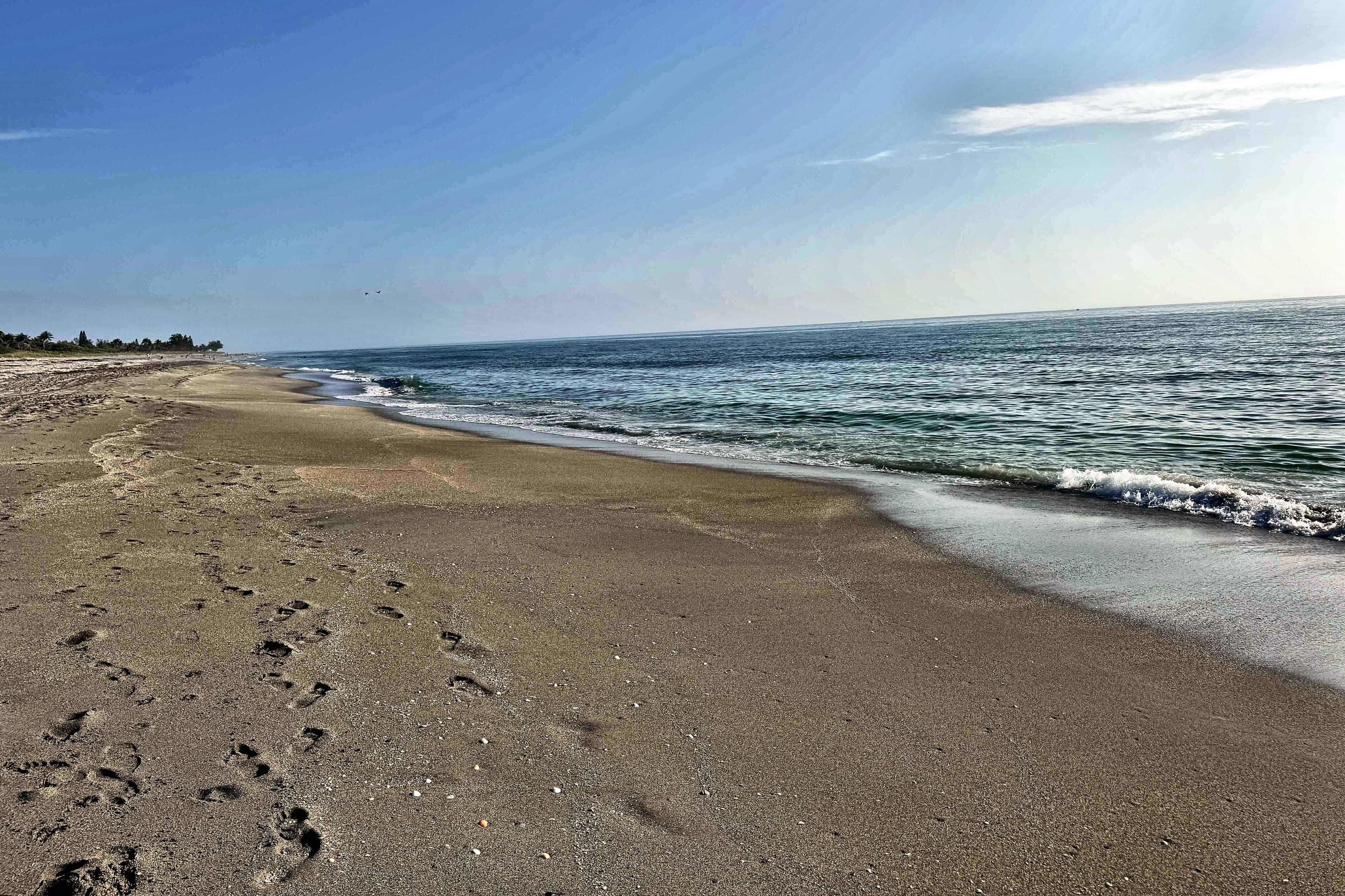A beach with footprints leading to the water, a clear sky, and a calm sea.