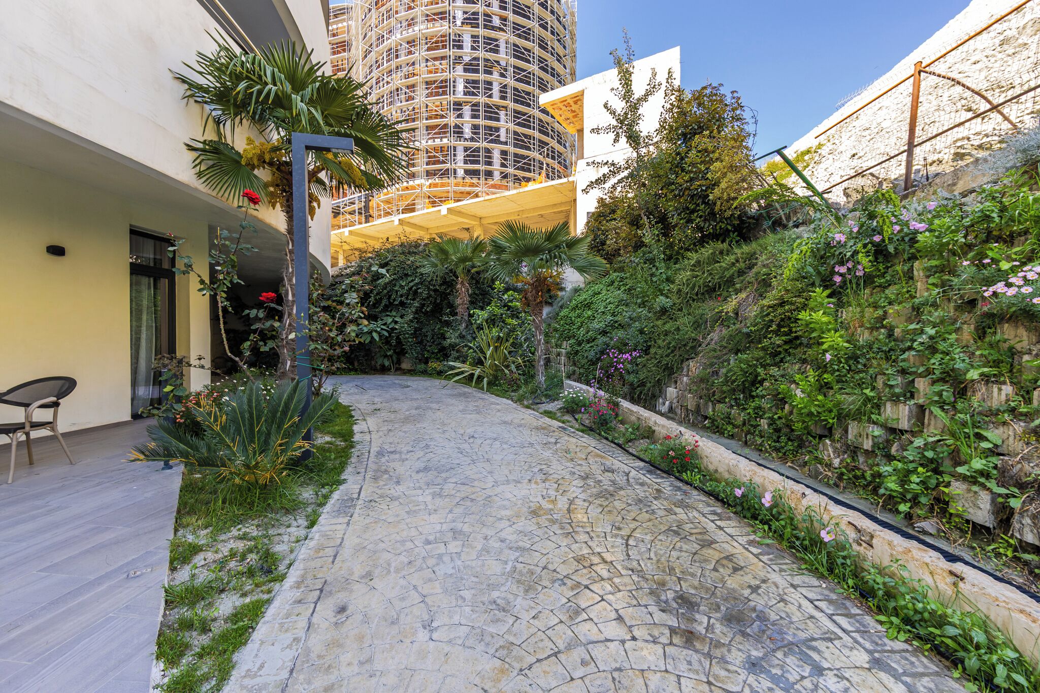Un patio con sendero adoquinado, una palmera y un edificio en construcción.