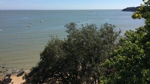 A coastal view with boats on the water, a sandy beach, and dense foliage in the foreground.