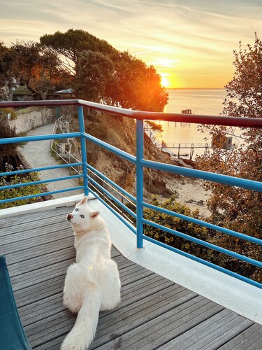 House with exceptional sea view in a heavenly setting - 6 people