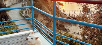 House with exceptional sea view in a heavenly setting - 6 people