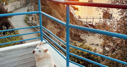 House with exceptional sea view in a heavenly setting - 6 people