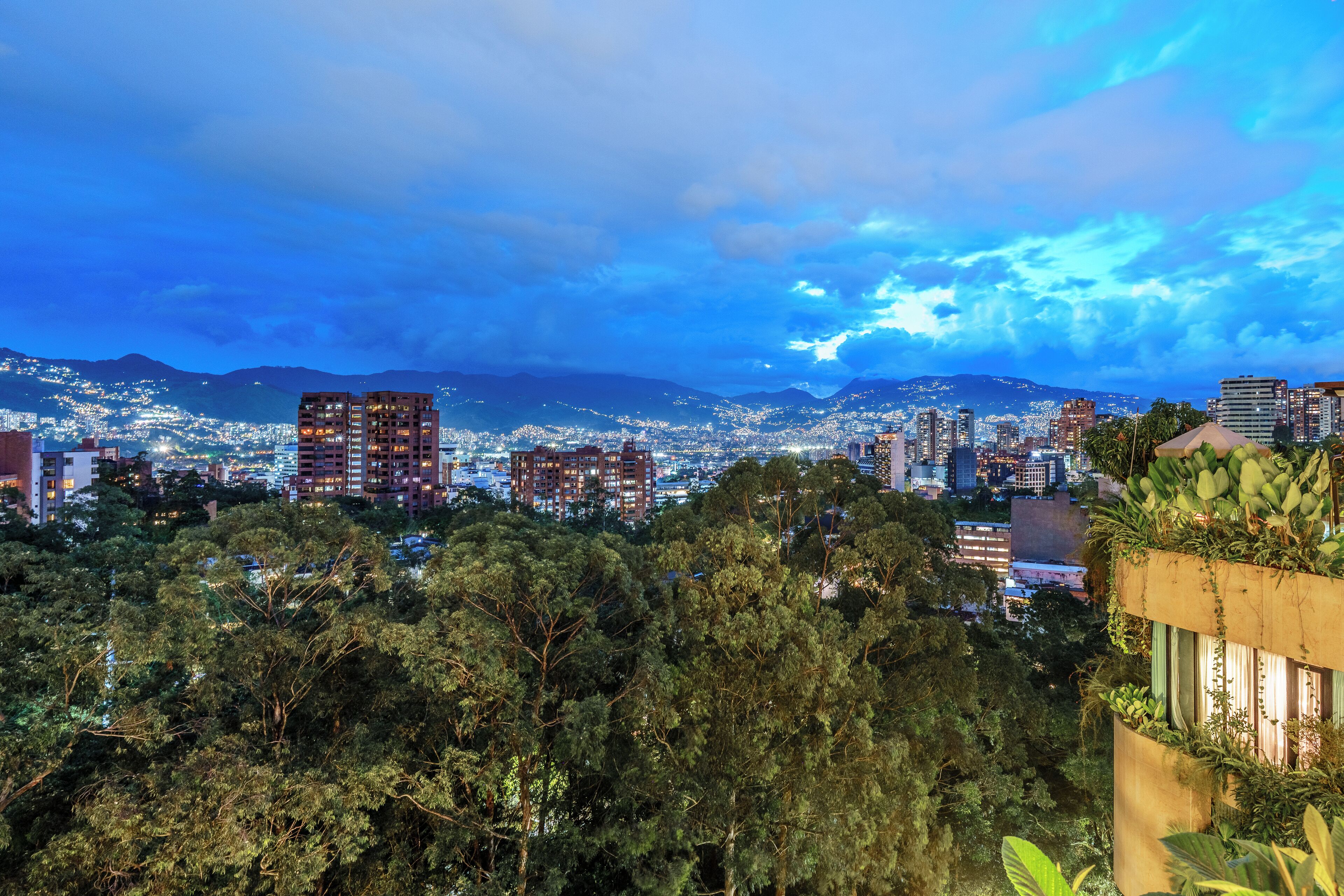 A cityscape with dense urban buildings, a mountainous backdrop, and a foreground of dense greenery.