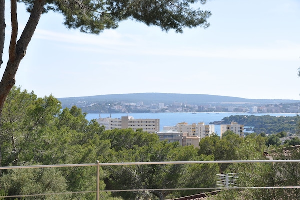 Vista desde la propiedad