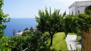 Ein Küsteneigentum mit Meerblick, ein Garten mit einem Baum und ein weißes Gebäude.