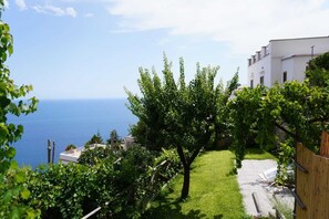 Une propriété située sur la côte, avec vue sur la mer, un jardin agrémenté d’un arbre et un bâtiment blanc.
