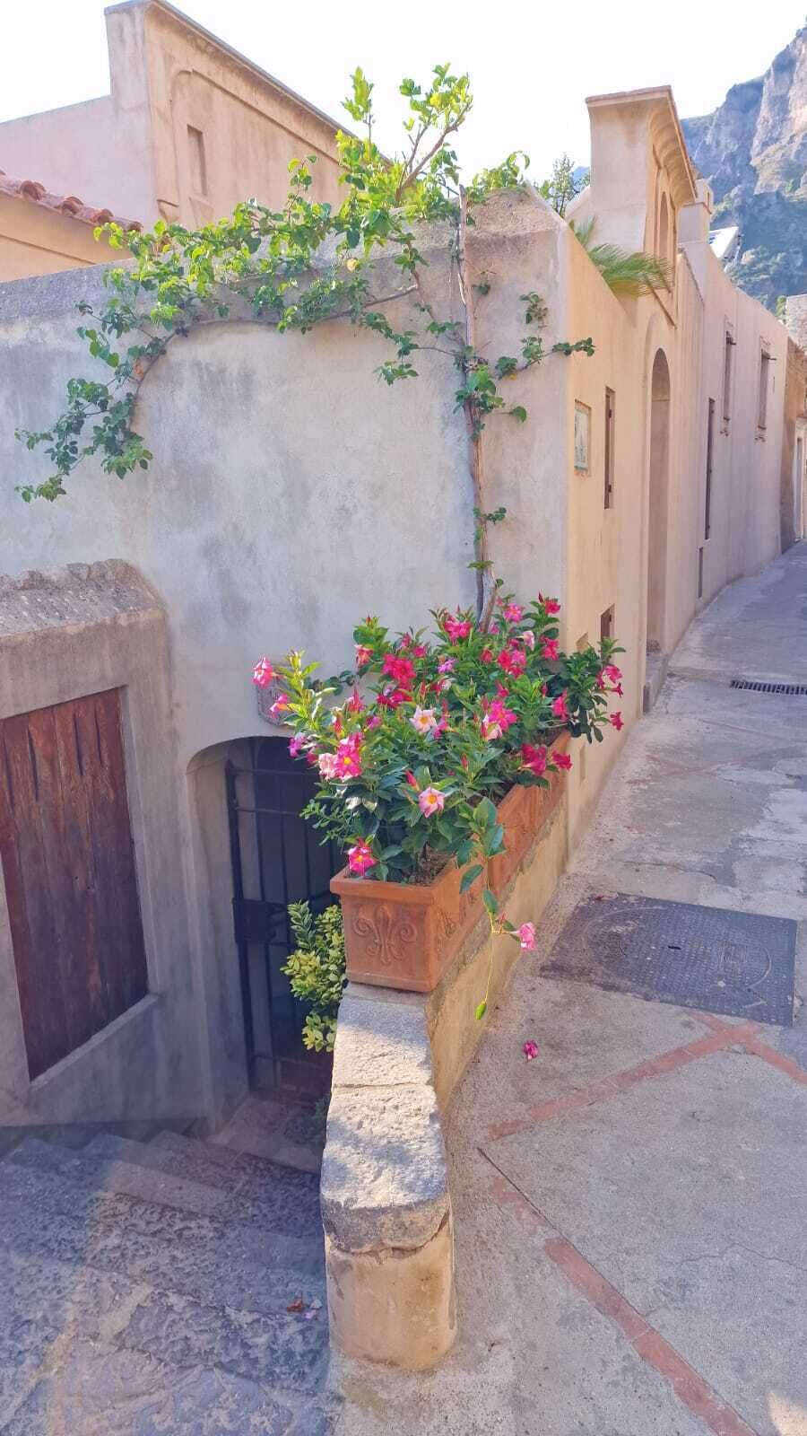 A narrow street with a building featuring a stone planter with pink flowers and climbing plants.